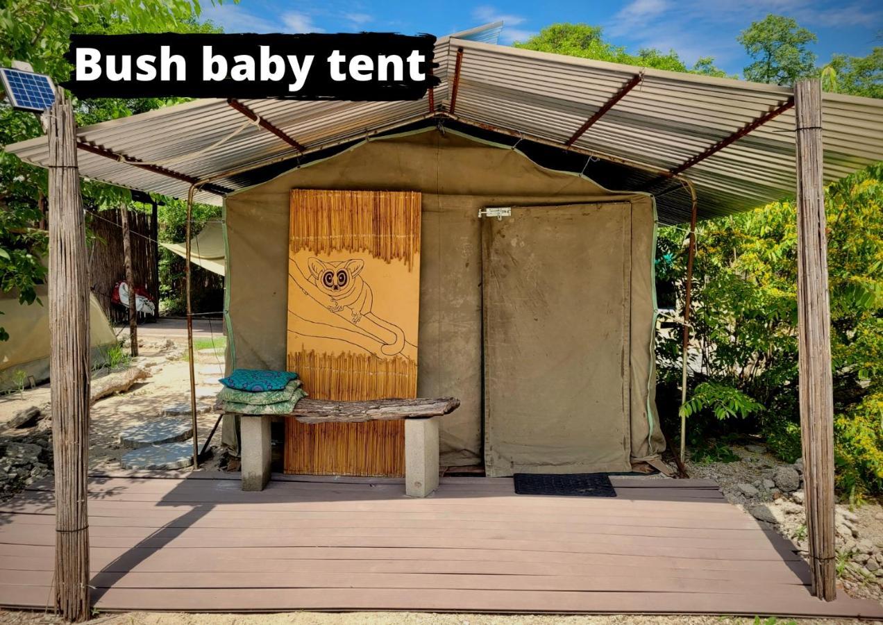Eselbe Camp Backpackers Hostel Nata Luaran gambar